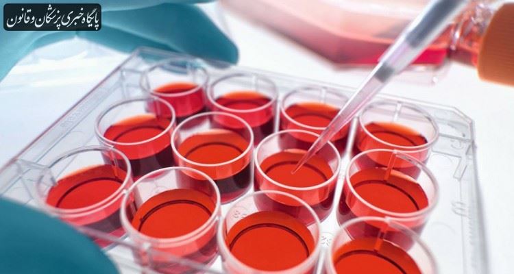 بانک سلول‌های بنیادی خونی با پذیره‌نویسی از ۵۰ هزار نفر ظرف ۲ سال آینده تشکیل می‌شود