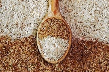 هیچ نوع برنج آلوده به سموم از جمله سم آرسنیک از گمرک ترخیص نشده است