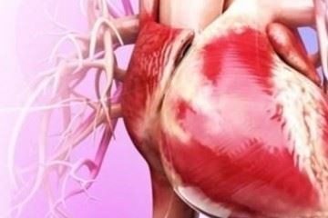 مرکز بازتوانی قلب، اثربخشی درمان را تا ۳۰ درصد افزایش می‌دهد