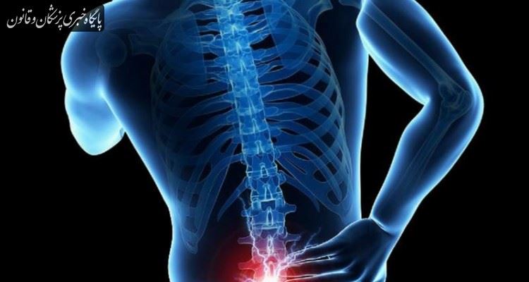 برگزاری بیستمین سمینار فیزیوتراپی تخصصی ستون فقرات برگزاری بیستمین سمینار فیزیوتراپی تخصصی ستون فقرات