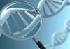سازمان بهزیستی هزینه آزمایش‌های ژنتیک افراد تحت پوشش را پرداخت می‌کند