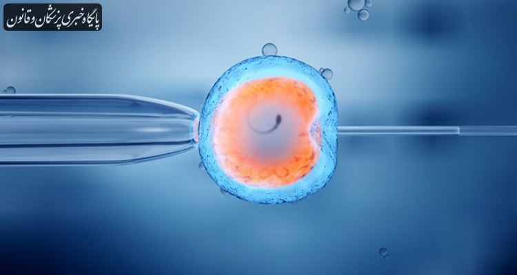 استفاده از سلول‌های پرتوان القایی برای به دست آوردن تخمک یا اسپرم