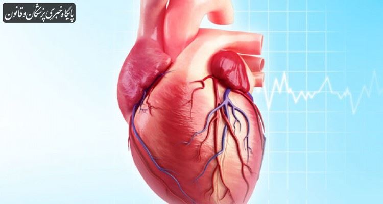 بیماری قلبی در بسیاری از خانوادههای ایرانی شایع است بیماری قلبی در بسیاری از خانوادههای ایرانی شایع است