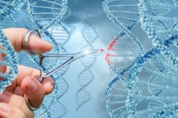 با ژن درمانی می‌توان بسیاری از بیماری‌ها را اصلاح کرد