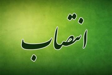 رئیس هیات امناء صرفه‌جویی ارزی در معالجه بیماران منصوب شد