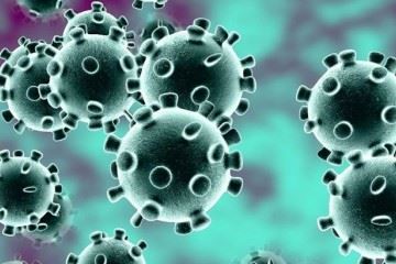 آمار مبتلایان و مرگ و میر ناشی از ویروس کرونا به شدت در حال رشد است